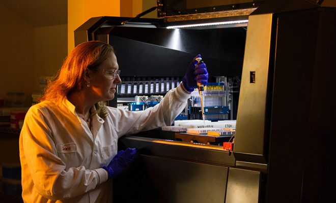 Scientist Working In Labratory