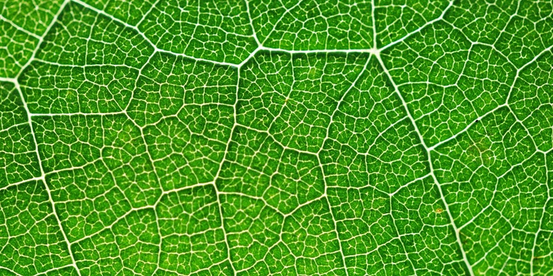 Professor Marc-Olivier Coppens – Nature-Inspired Engineering of Multifunctional Materials
