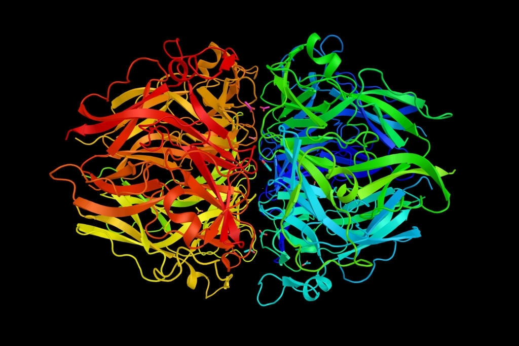 Professor Yi Lu – Designing Artificial Metalloenzymes for Sustainable Energy Catalysis