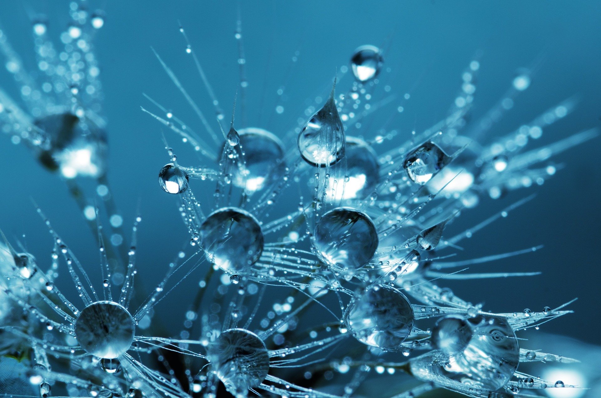 Professor James Durrant – Electrocatalytic and Photoelectrocatalytic Pathways to Green Hydrogen